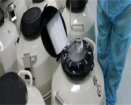 2026日本医院做试管助孕网上咨询方式(日本试管婴儿可以助孕吗)