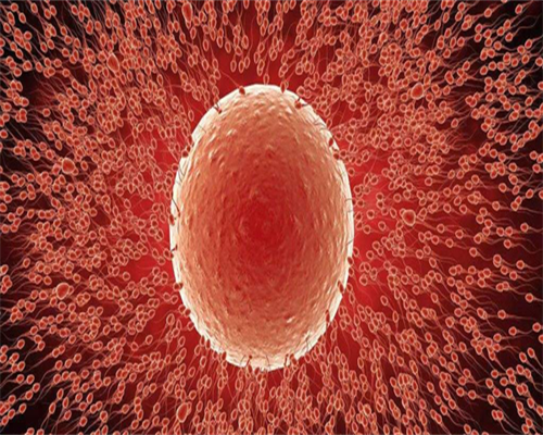 茂名比较大的助孕医院靠谱么,看这篇就行