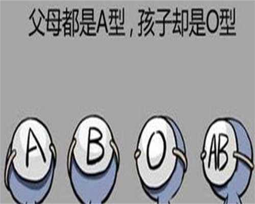 代孕产子服务：辅酶q10能不能提高卵子质量？