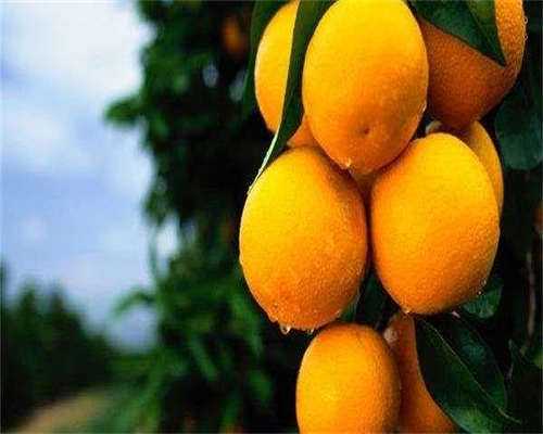 代孕 性别选择,试管婴儿是什么情况下可以做？什么情况下可以做试管婴儿