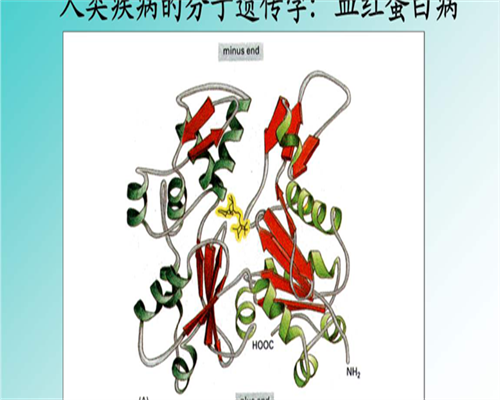 天津骗子助孕医院以及价格,需做哪些准备