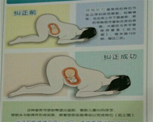  新昌县中医院生殖中心做供卵试管需要等多久？ 