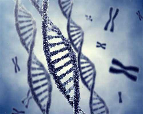 单身试管婴儿助孕！有剩余胚胎呢？