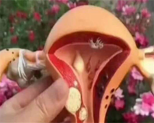  自然周期ivf助孕方式是什么意思？ 