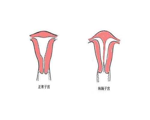 在有哪家代孕机构,池州比较好的试管医院是哪家