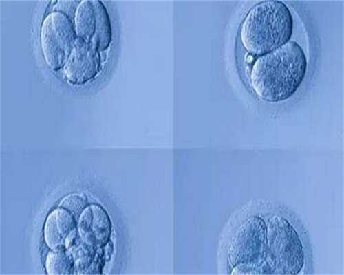 那里有私人招代孕,借卵助孕生子费用需要多少钱？