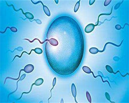 子宫肌瘤可能会影响试管成功率！附助孕省钱指南！