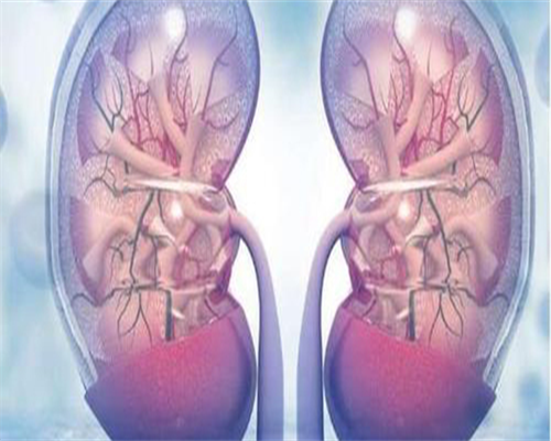 世纪代孕中心,促排卵和取精哪个先进行？