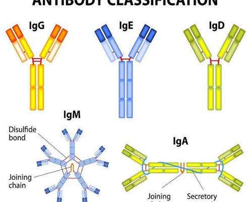 西安唐都试管_惜缘传承助孕怎么样,衡阳做三代试管比较好的医院是哪家