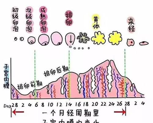 中美生殖助孕中心,在西安市成人儿童医院打三代试管婴儿要多少钱！附收费参