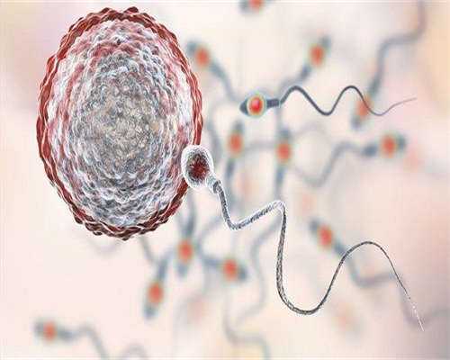 潍坊骗子助孕医院Top10排行,需要排队等多久？