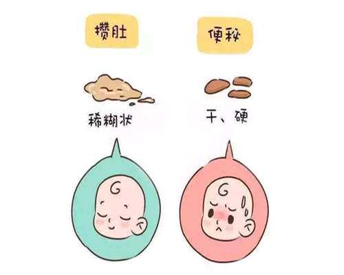 代孕包生女孩：完全备孕12个月计划