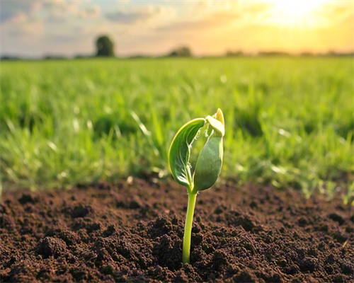 试管婴儿助孕不是一定的！助孕和试管的区别！